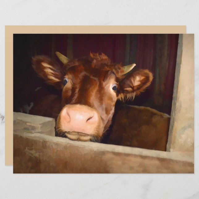 Lámina Granja divertida de granjas de vacas rústicas marr (Anverso / Reverso)