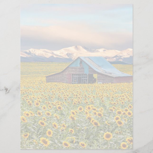 Lámina Granjas | Campo de girasol (Anverso)