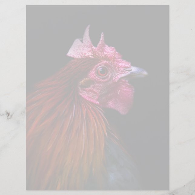 Lámina Granjas | Disparo de cabeza de gallo (Anverso)