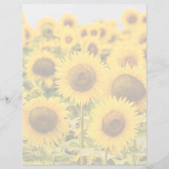 Lámina Granjas | Un Campo De Girasol (Anverso)