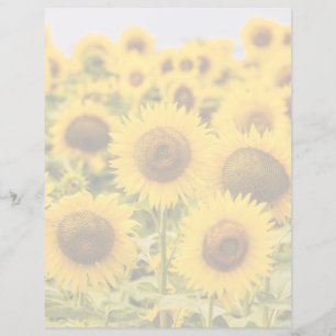 Lámina Granjas Un Campo De Girasol