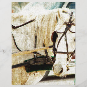 Lámina Gray Amish Buggy Horse
