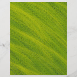 Lámina Green Field of Wheat Scrapbook Paper 2-Sided Page