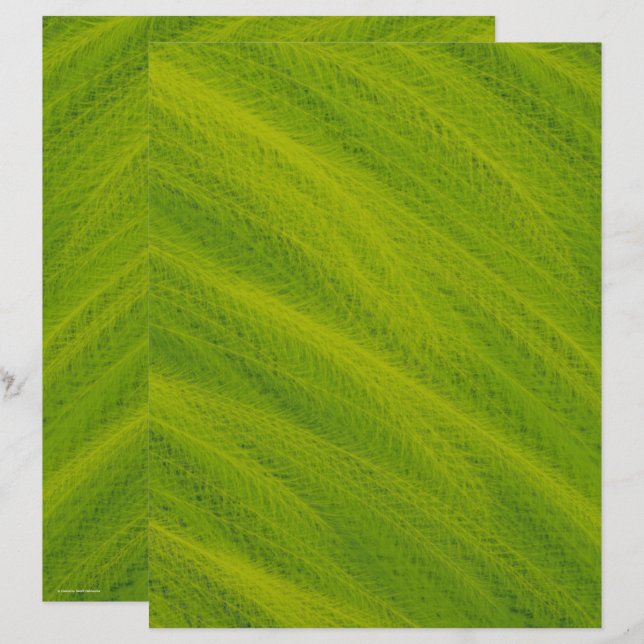 Lámina Green Field of Wheat Scrapbook Paper 2-Sided Page (Anverso / Reverso)