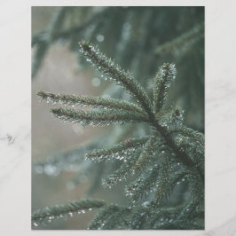 Lámina Green spruce tree, winter Scrapbook Paper