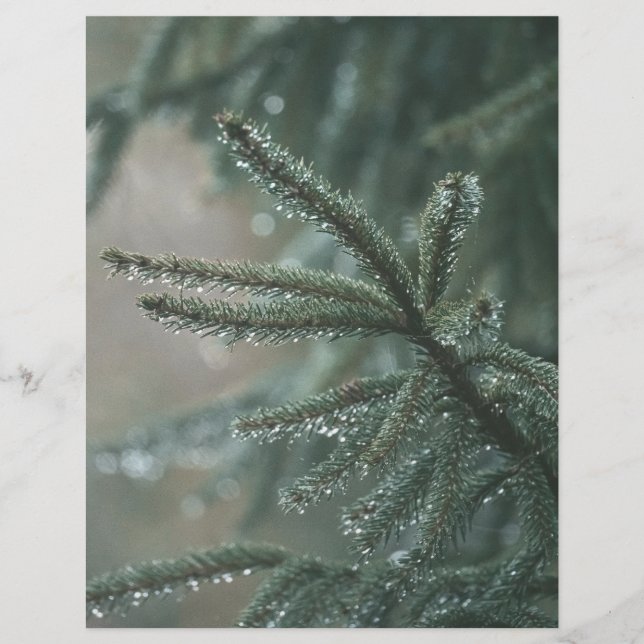 Lámina Green spruce tree, winter Scrapbook Paper (Anverso)