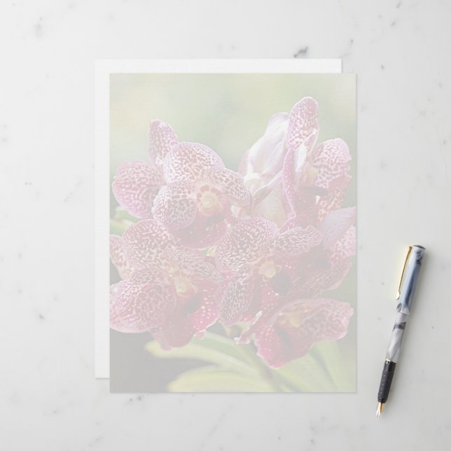 Lámina Grupo Orquídea Vanda Tropical (Anverso/Reverso In Situ)