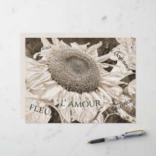 Lámina Guión de efimera marrón de girasoles gigantes Sepi