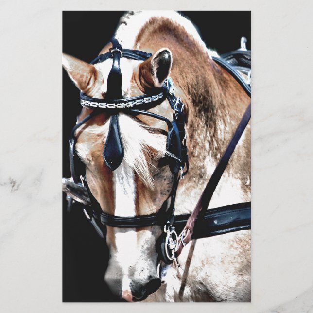 Lámina Haflinger (Anverso)