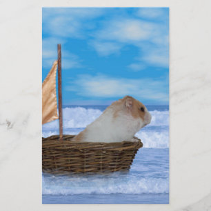 Lámina Hamster Sailor