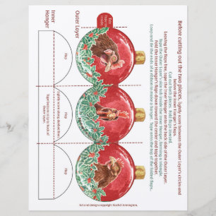 Lámina Haz tu propio ornamento navideño de pollo plegable