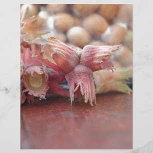 Lámina Hazelnuts.JPG