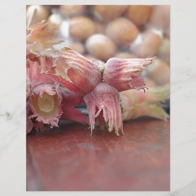 Lámina Hazelnuts.JPG (Anverso)