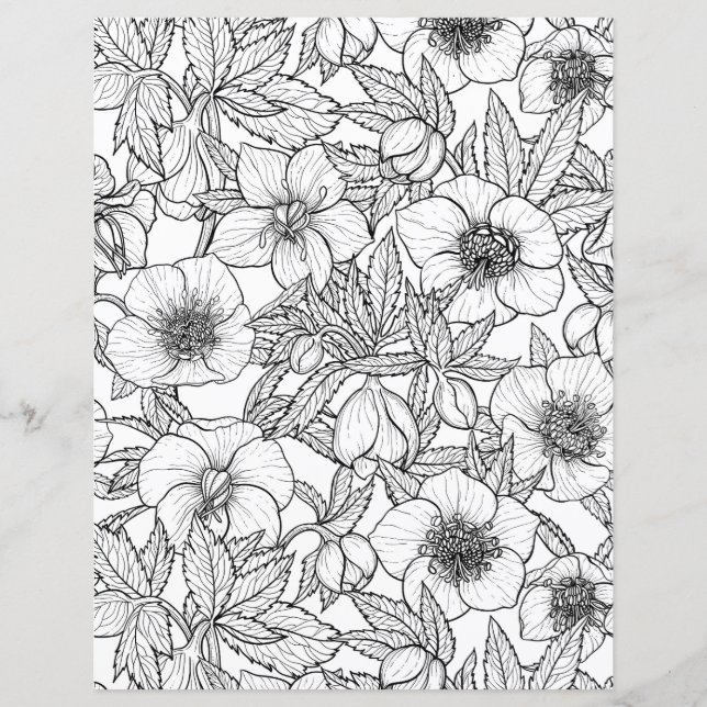 Lámina Hellebores en blanco y negro (Anverso)