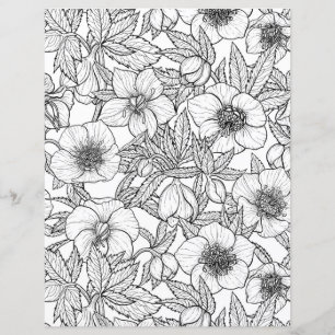 Lámina Hellebores en blanco y negro