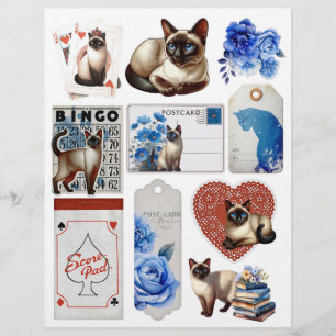 Lámina Hermosa efema vintage de gato siamés