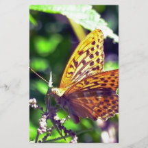 Hermosa mariposa naranja y negra manchada