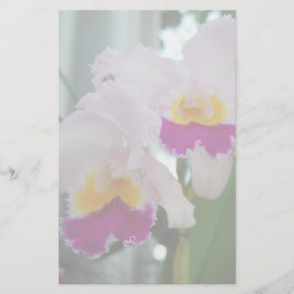 Lámina Hermosa orquídea Cattleya