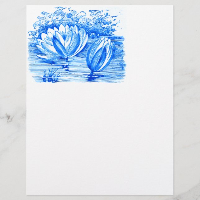 Lámina Hermosas flores azules de loto (Anverso)