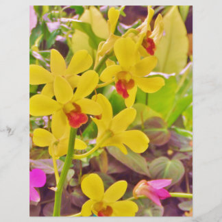Lámina Hermosas orquídeas amarillas de otoño