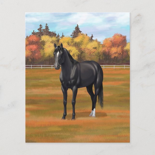 Lámina Hermoso Semental de Cuarto de Milla Negro (Anverso)