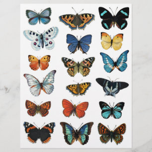 Lámina Hermosos Ilustraciones mariposa para el rafting