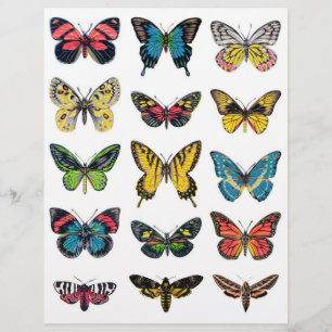 Lámina Hermosos Ilustraciones mariposa para el rafting