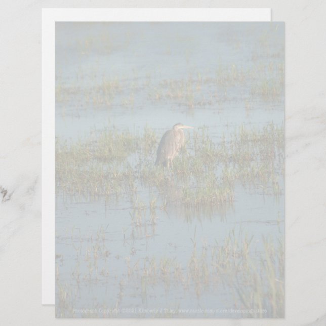 Lámina Heron 6937 (Anverso / Reverso)