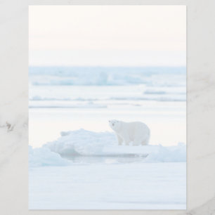 Lámina Hielo y nieve Polar Bear Iceberg Noruega