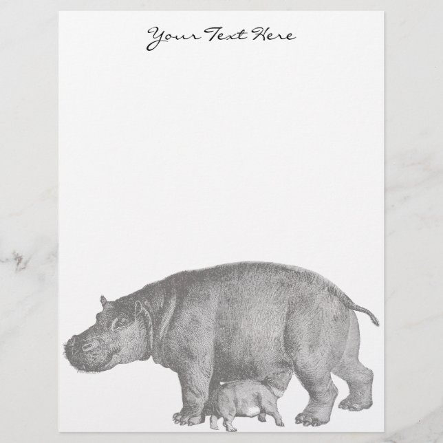 Lámina Hippo Letterhead vintage (Anverso)