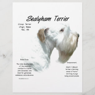 Lámina Historia de Sealyham Terrier