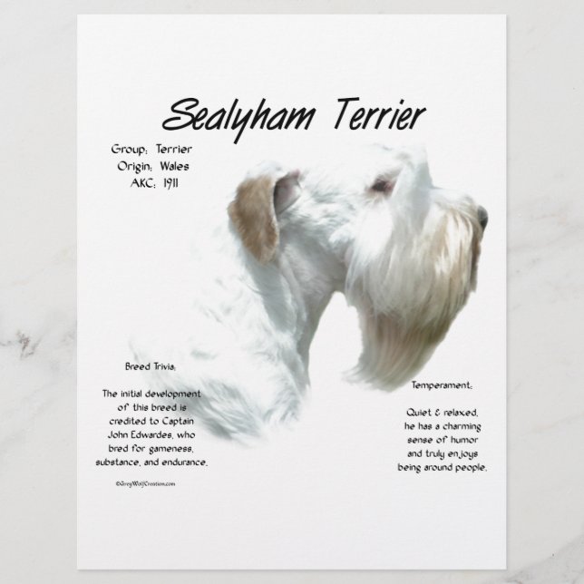 Lámina Historia de Sealyham Terrier (Anverso)