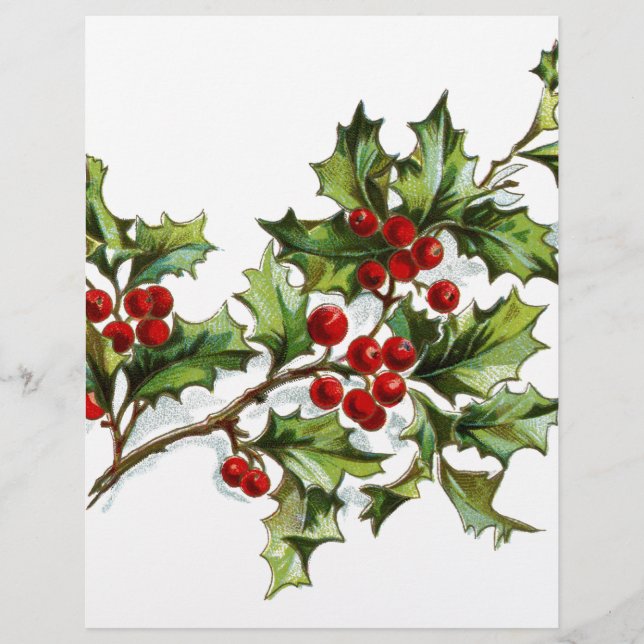 Lámina Holly Berries 001 (Anverso)