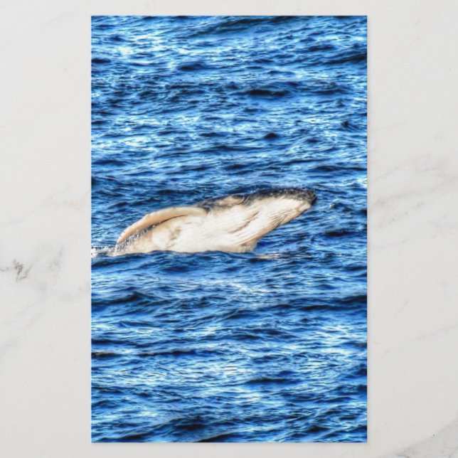 LÁMINA HUMBACK WHALE QUEENSLAND AUSTRALIA (Anverso)