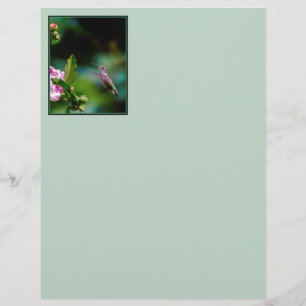 Lámina Hummingbird - Fotografía original