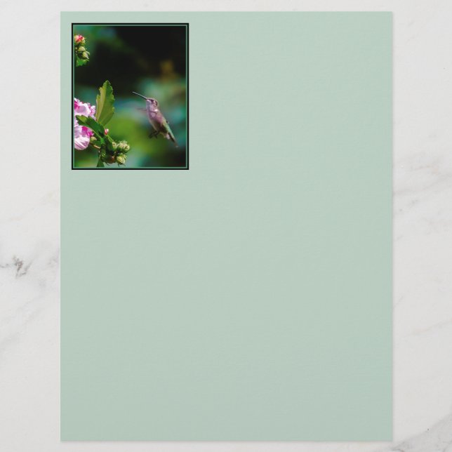 Lámina Hummingbird - Fotografía original (Anverso)