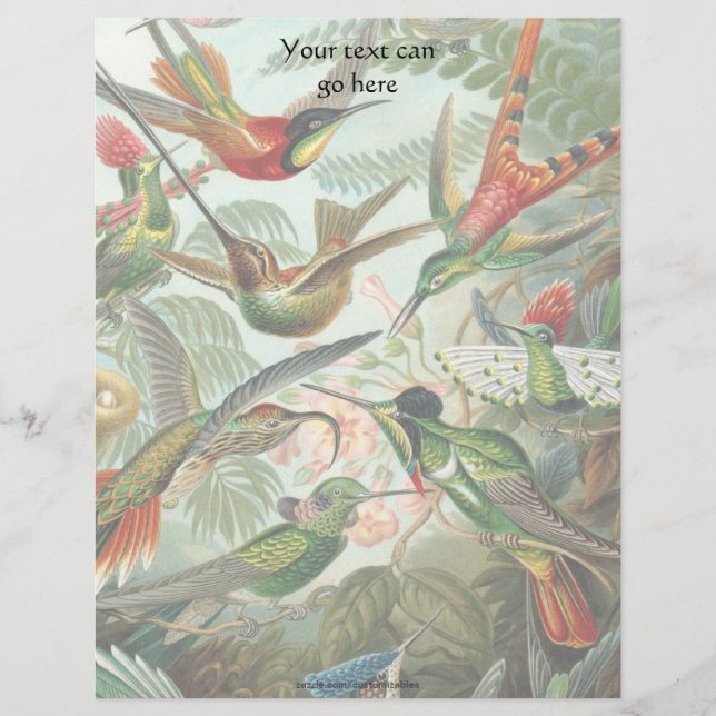 Lámina Hummingbirds vintage (Anverso)