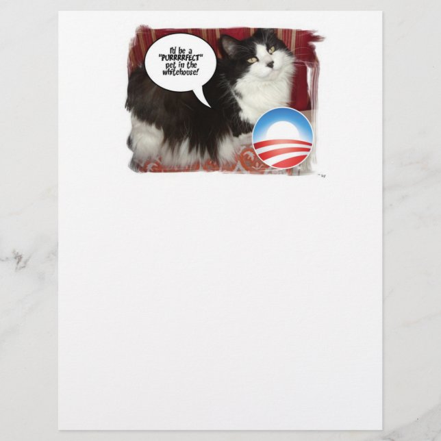 Lámina Humor de gato político (Anverso)