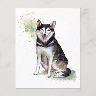 Lámina Husky dog Canvas