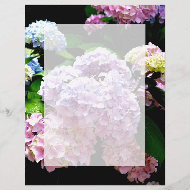 Lámina Hydrangea garden, rosa, azul, violeta floral (Anverso)