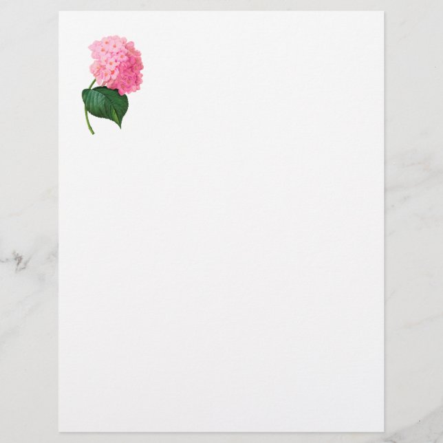 Lámina Hydrangea Letterhead (Anverso)
