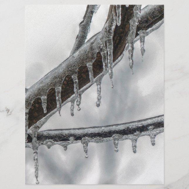 Lámina Icy Branch (Anverso)