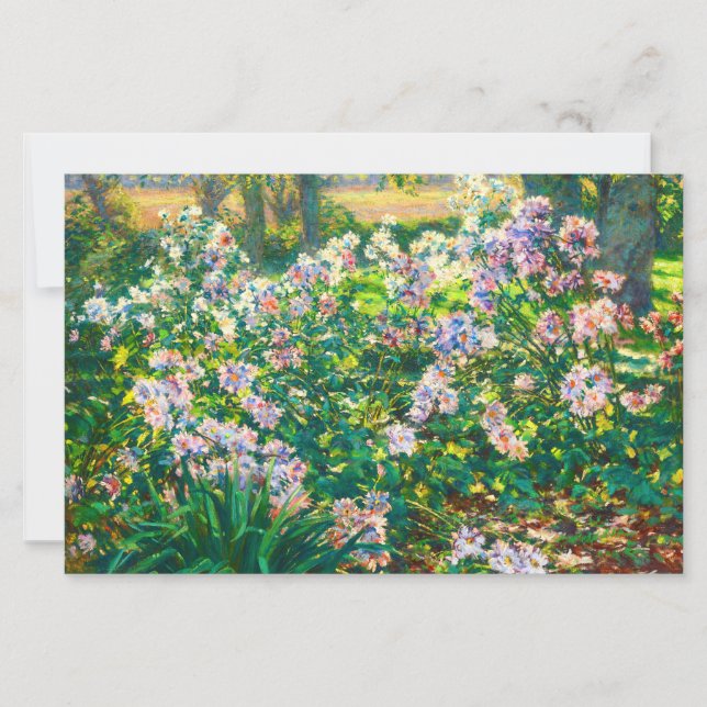 Lámina Ilustración de flores bonitas vintage Windflowers (Anverso)