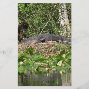 Lámina Imagen de zoom luv de Gator
