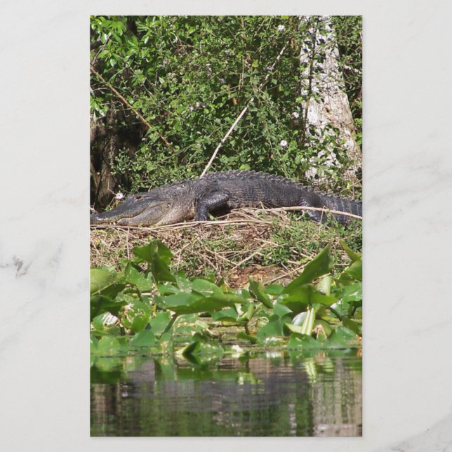 Lámina Imagen de zoom luv de Gator (Anverso)