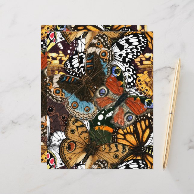 Lámina Impresión animal. Las alas de mariposa. (Anverso/Reverso In Situ)