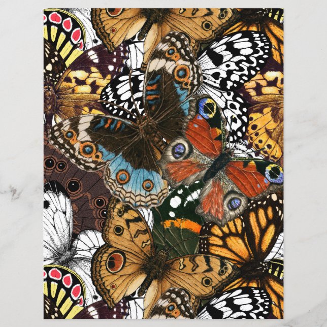 Lámina Impresión animal. Las alas de mariposa. (Anverso)