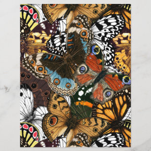 Lámina Impresión animal. Las alas de mariposa.