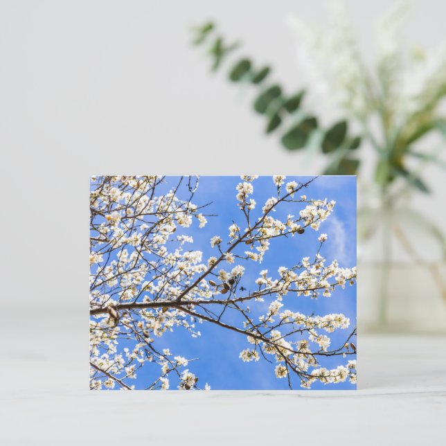 Lámina Impresión de acuarela de rama de flores - Arte bot (Anverso de pie)