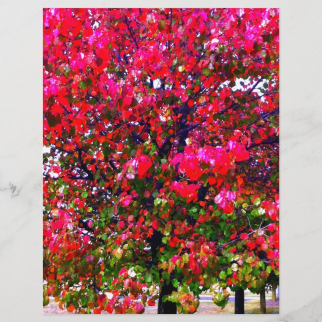 Lámina Impresionista rosa otoño deja árboles (Anverso)